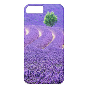 Capa iPhone 8 Plus/7 Plus Árvore solitária em Campo de Lavanda, França