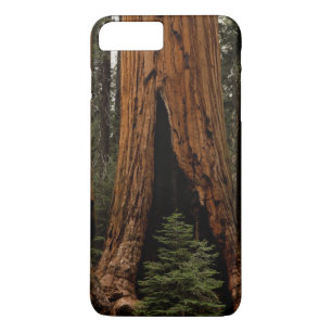Capa iPhone 8 Plus/7 Plus Árvores Redwood, Parque Nacional Sequoia.