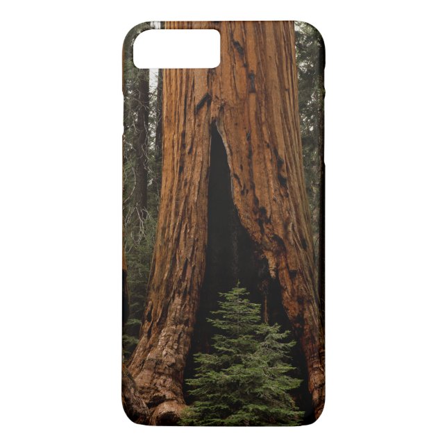 Capa Para iPhone, Case-Mate Árvores Redwood, Parque Nacional Sequoia. (Verso)