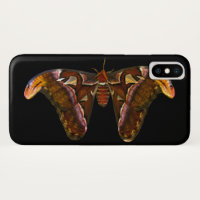 Atlas Moth - Cabeça Cobra