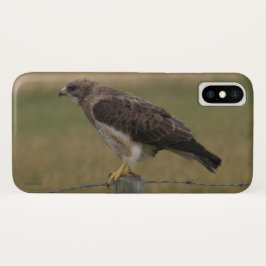 Capa Para iPhone Da Case-Mate B10 Swainson's Hawk