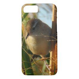 Capa iPhone 8/7 B3 Marsh Wren in Cattails
