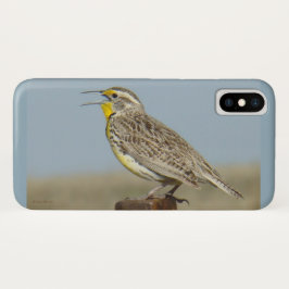 Capa Para iPhone Da Case-Mate B6 Meadowlark Ocidental