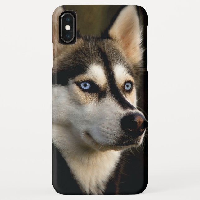 Capa Para iPhone, Case-Mate Beautiful Husky Throw Pillow (Verso)