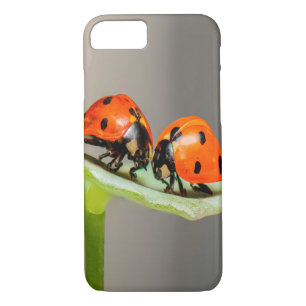 Capa iPhone 8/7 Beijando Ladybugs