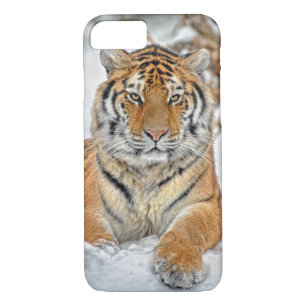 Capa iPhone 8/7 Beleza do tigre na neve