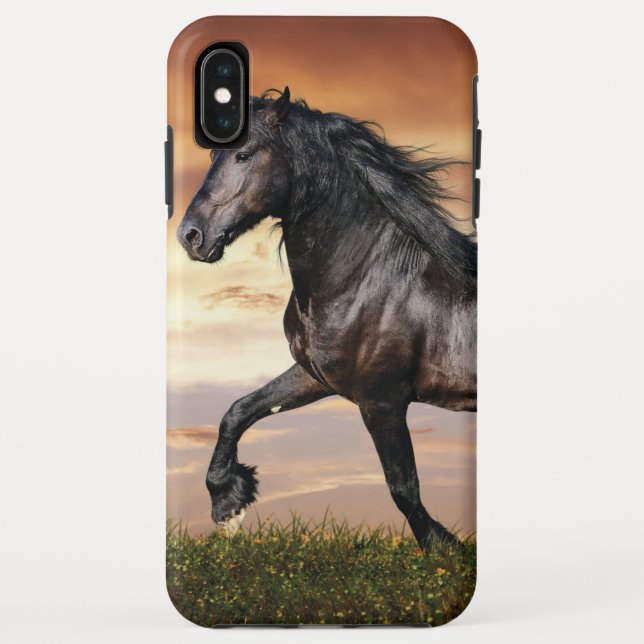 Capa Para iPhone, Case-Mate Belo Cavalo Negro (Verso)