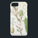Capa iPhone 8/7 Belo vintage floral, antiga botânica<br><div class="desc">Belo impressão floral botânico vintage - antiga flor em prato francês desenhando cobrir de caixa Tough iPhone 6.</div>
