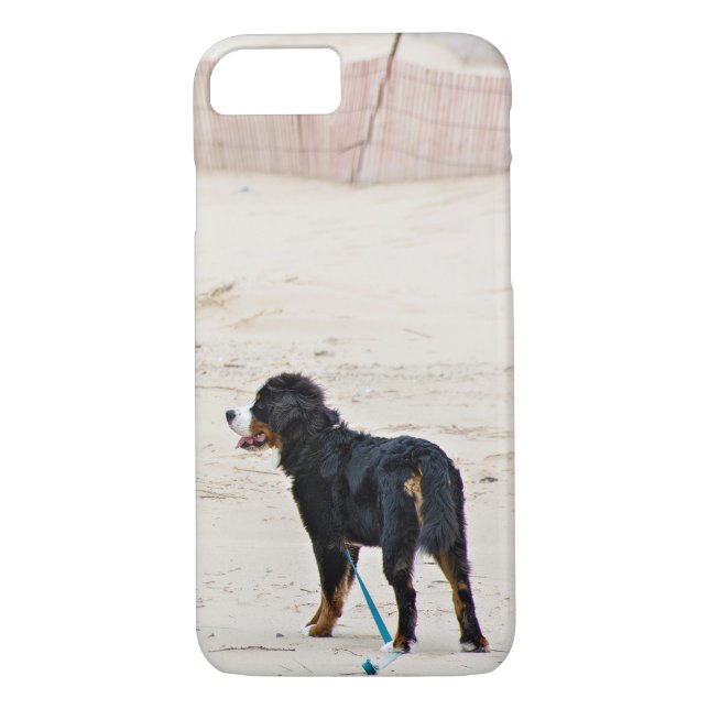 Capa Para iPhone, Case-Mate Bernese Mountain dog na areia (Verso)