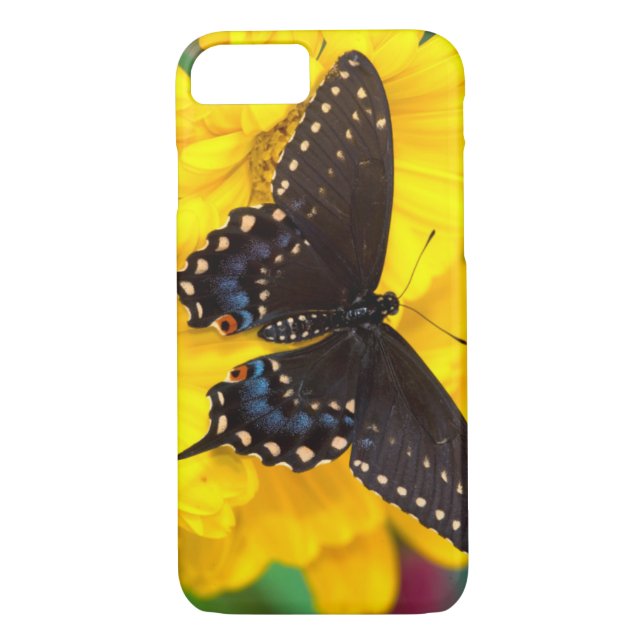 Capa Para iPhone, Case-Mate Borboleta-do-mato-preto (Verso)