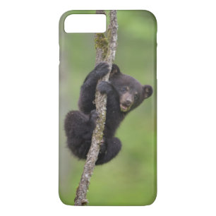Capa iPhone 8 Plus/7 Plus Brincadeira de urso preto no Tennessee