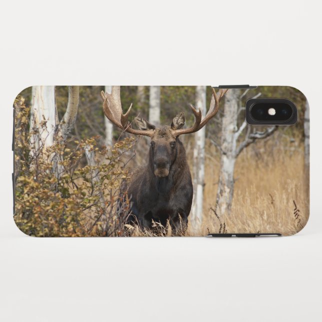 Capa Para iPhone, Case-Mate Bull Moose Impressionante (Verso (Horizontal))