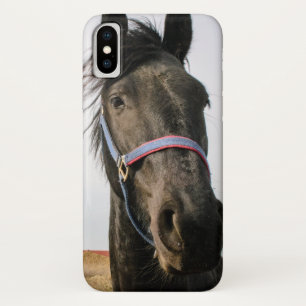 Capa Para iPhone Da Case-Mate Cabeça de Cavalo 007