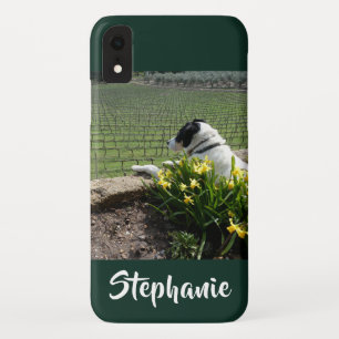Capa Para iPhone Da Case-Mate Cachorro Casemato e Vinhas de Uvas iPhone XR XS Ma