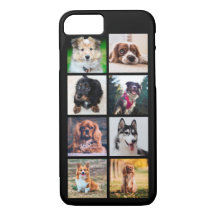 Cães Cães Instagram Fotos