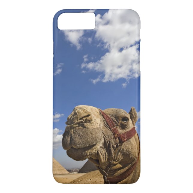 Capa Para iPhone, Case-Mate Camelo em frente às pirâmides de Gizé, Egito, (Verso)