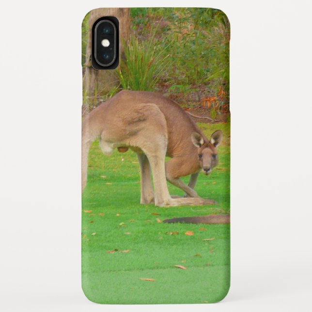 Capa Para iPhone, Case-Mate canguru (Verso)