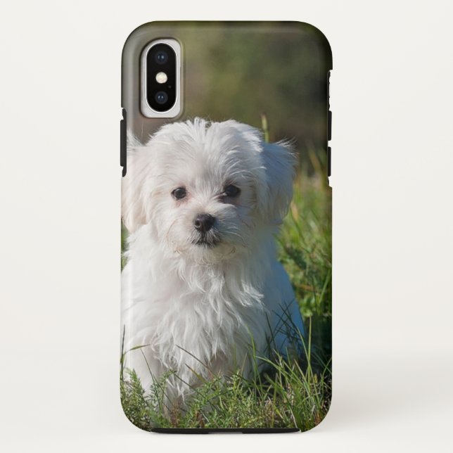 Capa Para iPhone, Case-Mate Cãozinho branco bonito (Verso)