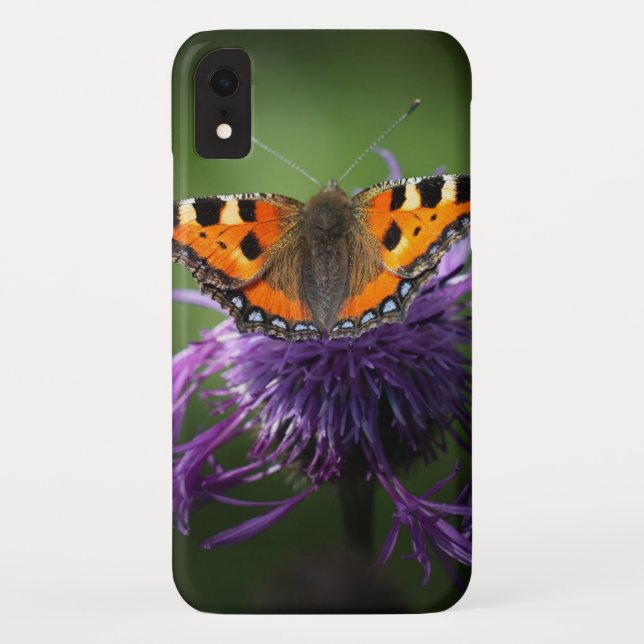 Capa Para iPhone, Case-Mate Capa Case-Mate Barely There para iPhone XR (Verso)