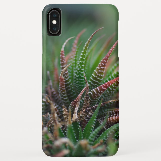 Capa Para iPhone, Case-Mate Capa Case-Mate Barely There para iPhone XS Max (Verso)