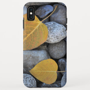 Capa Para iPhone Da Case-Mate Capa Case-Mate Tough para iPhone XS Max