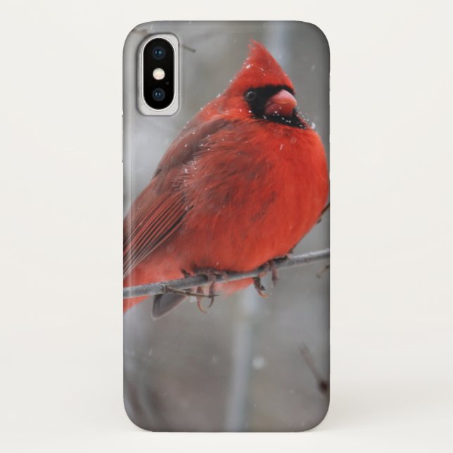 Capa Para iPhone, Case-Mate Cardeal vermelho-escuro da neve do inverno (Verso)