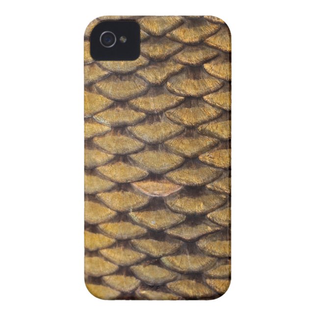 Capa Para iPhone, Case-Mate Carpa comum - caso iPhone4 (Traseira)