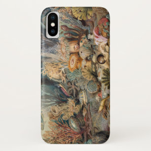 Capa Para iPhone Da Case-Mate Case-Mate Barely There para iPhone X