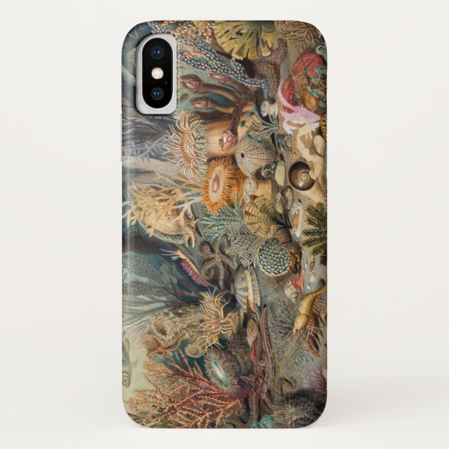 Capa Para iPhone, Case-Mate Case-Mate Barely There para iPhone X (Verso)