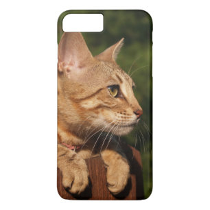Capa iPhone 8 Plus/7 Plus Case-Mate Mal Ali Mais iPhone 7 Case Kitten