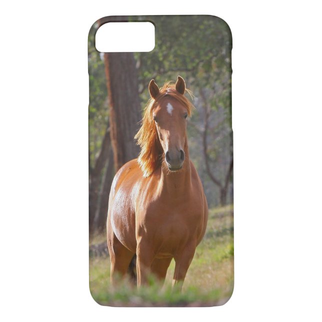 Capa Para iPhone, Case-Mate Cavalo nas madeiras (Verso)