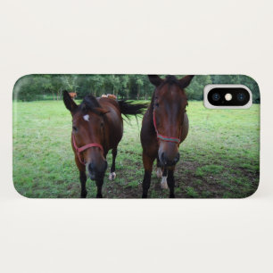 Capa Para iPhone X Cavalos no pasto