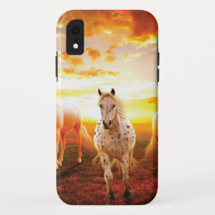 Capa Para iPhone Da Case-Mate Cavalos no travesseiro decorativo do pôr do sol