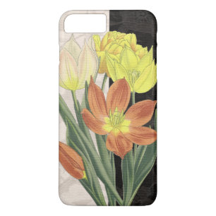 Capa iPhone 8 Plus/7 Plus Centerape II