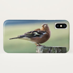 CAPA PARA iPhone DA Case-Mate CHAFFINCH
