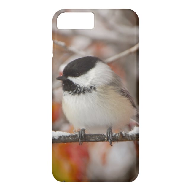 Capa Para iPhone, Case-Mate Chapim-de-cabeça-preta adulto na neve (Verso)