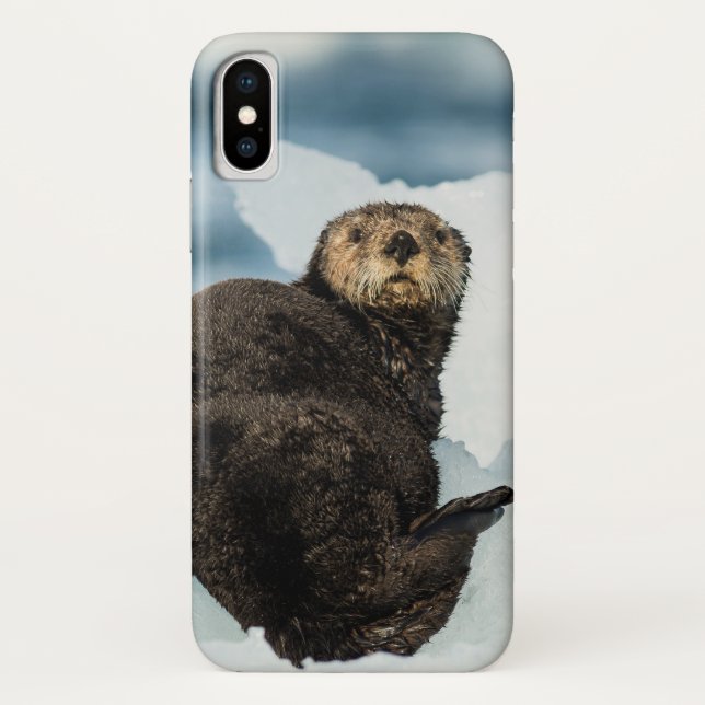 Capa Para iPhone, Case-Mate Chilly Sea Otter (Verso)