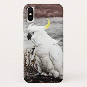 Capa Para iPhone X Cockatoo Enxofre-Com crista