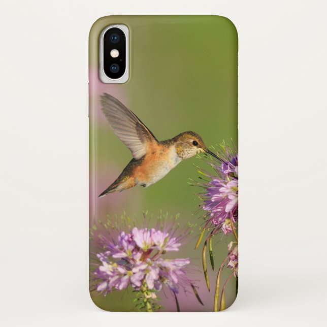 Capa Para iPhone, Case-Mate Colibri (Verso)