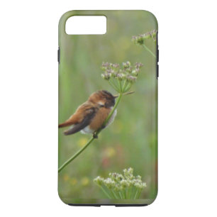 Capa iPhone 8 Plus/7 Plus Colibri pequeno bonito