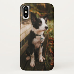 Capa Para iPhone Da Case-Mate Collie Black and White Border no Park Bench