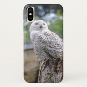 Capa Para iPhone X Coruja-das-neves