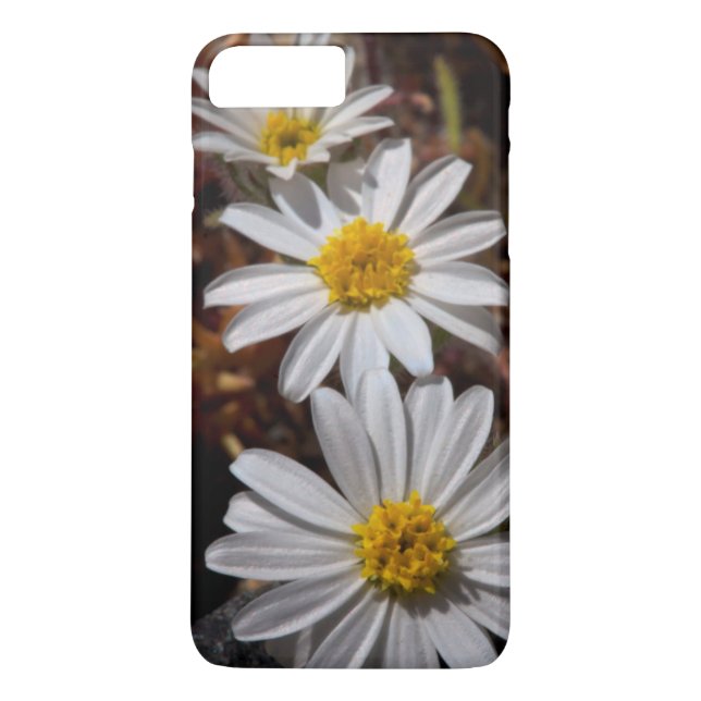 Capa Para iPhone, Case-Mate Desert Star Wildflower (Verso)