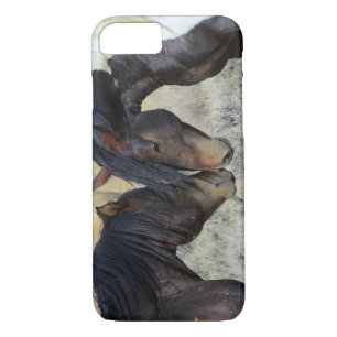 Capa iPhone 8/7 Dois Cavalos Selvagens Marrons Nuzzling