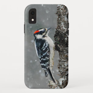 Capa Para iPhone Da Case-Mate Downy Woodpecker em Neve - Foto Original