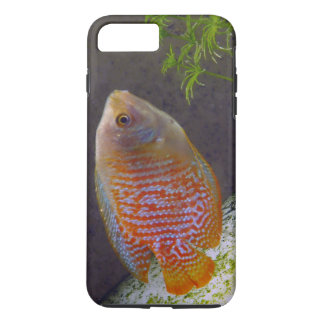 Capa iPhone 8 Plus/7 Plus Dwarf Gourami Fish
