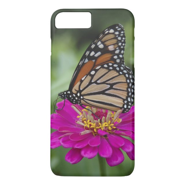 Capa Para iPhone, Case-Mate E.U.A., Massachusetts, Boylston, Tower Hill (Verso)
