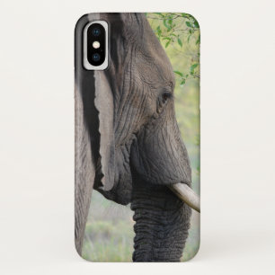 Capa Para iPhone Da Case-Mate Elefante Africano Exótico