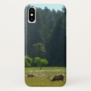 Capa Para iPhone Da Case-Mate Elk Meadow no Parque Nacional Redwood