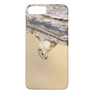 Capa Para iPhone Da Case-Mate Esquilo de árvore